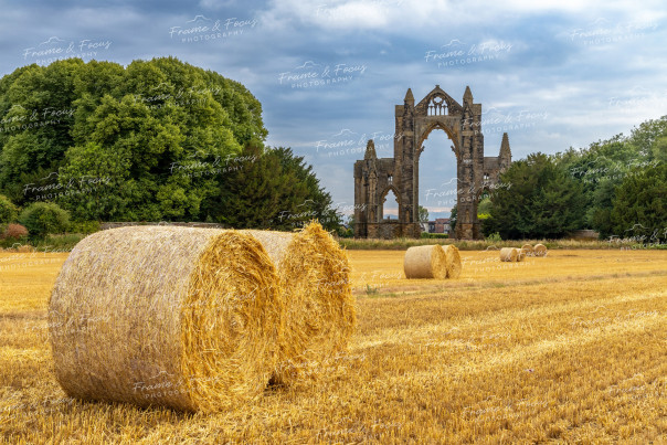 To buy a print or any of the below please click on the images